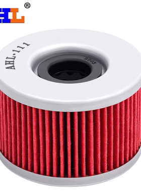 适配本田龙犬250 VT250 马格纳250 小黄蜂250VT250F机油滤芯 机滤