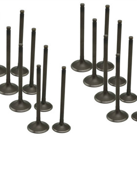 适配川崎ZZR400摩托车气门猪头ZRX400 ZR400 ZX500进排气门配件