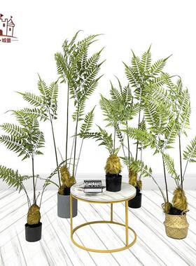 北欧风仿真猴头蕨假植物仿生金丝猴蕨绿植盆栽室内客厅摆件