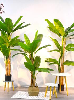 仿真树芭蕉树绿植盆栽室内摆件大型绿植假树造景植物仿真芭蕉
