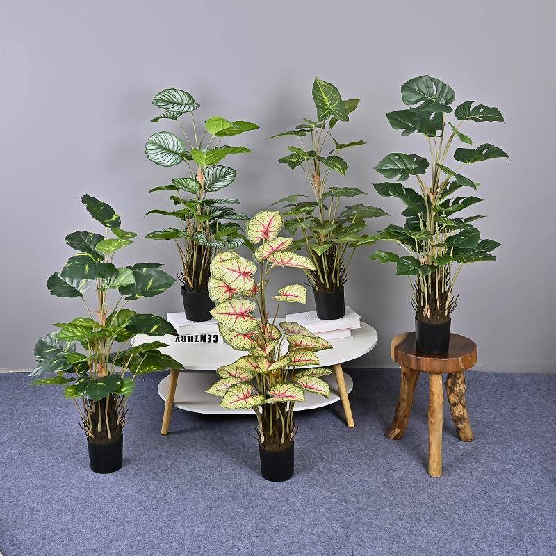 仿真苹果叶30头小盆栽水芋龟背万年青软装造景样板间工程商场橱窗