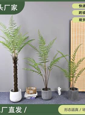 仿真蕨叶树软装造景家居装饰工程娑罗树人造蕨树