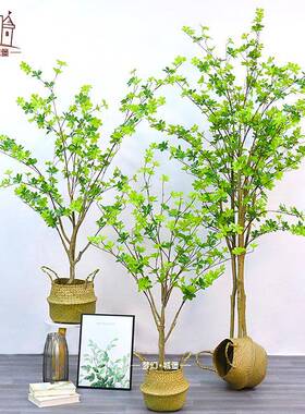 日本仿真吊钟绿植盆栽植物马醉木家居婚庆装饰假树落地摆件