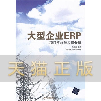 企业erp项目实施与应用分析