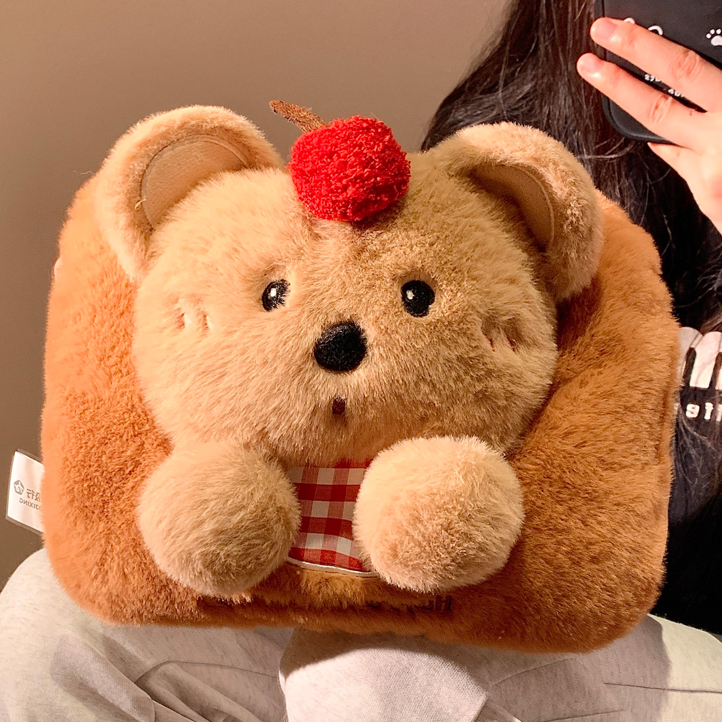 可爱小熊毛绒充电热水袋防爆