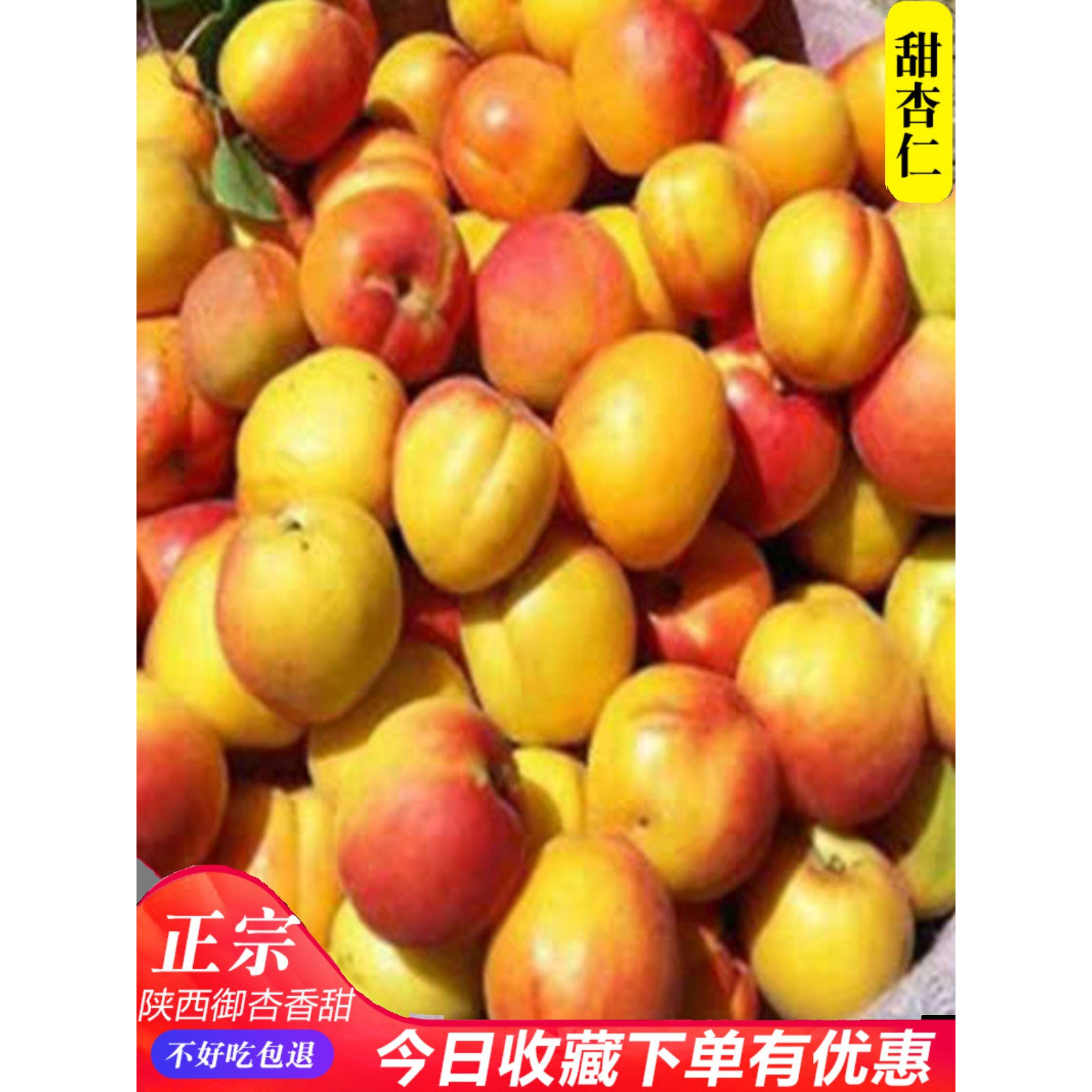 陕西礼泉山底大唐御杏袁家村梅杏红杏香甜现摘现发5斤包邮
