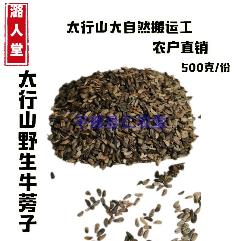 野生牛蒡子中药材牛子大力子500克包邮