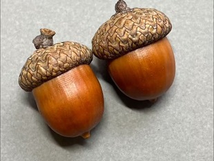 橡果果饰品橡实天然带帽橡果装饰摆件干花挂饰可DIY手工饰品