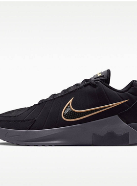 NIKE/耐克男鞋LEBRON WITNESS IX 缓震训练运动篮球鞋HQ8035-003