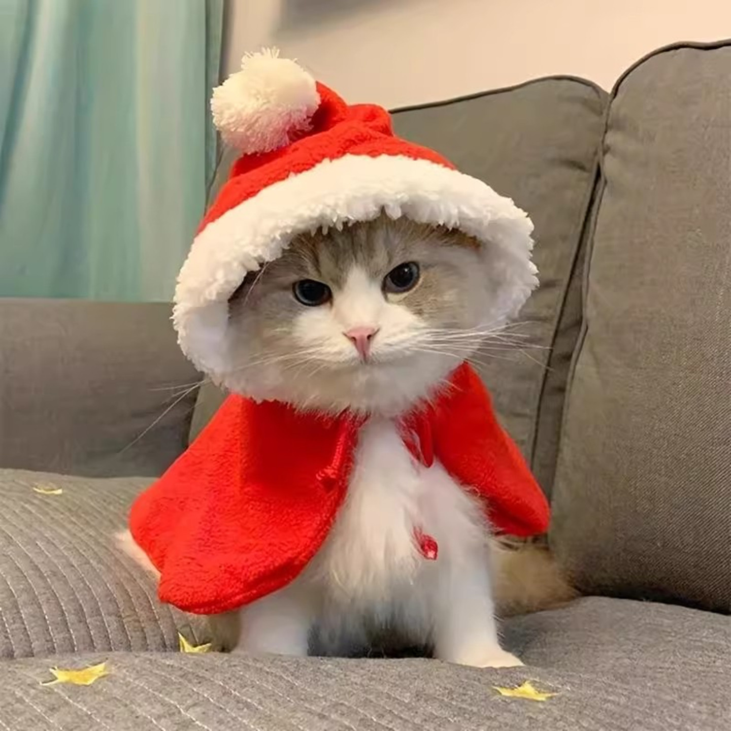 猫咪衣服宠物睡袍睡衣小被子圣诞毛毯披风斗篷秋冬保暖狗狗小型犬