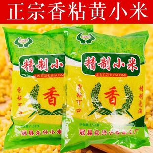 山东冠县特产正宗守怀小黄米免淘洗米油香粘小米粥五谷杂粮米油厚