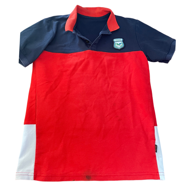 绿色夏季POLO衫定做巴川量子小学校校服同款红色来图定制一样