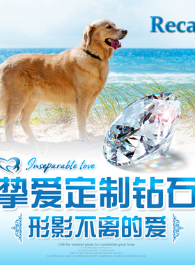 Recall 定制狗狗猫咪毛发狗骨灰合成钻石纪念亲人宠物生命钻石