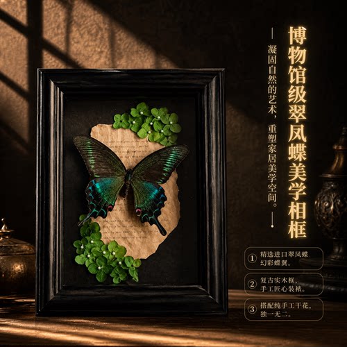 绿带翠凤蝶蝴蝶标本相框摆件送礼