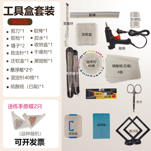 蝴蝶标本工具套装展翅板悬浮盒
