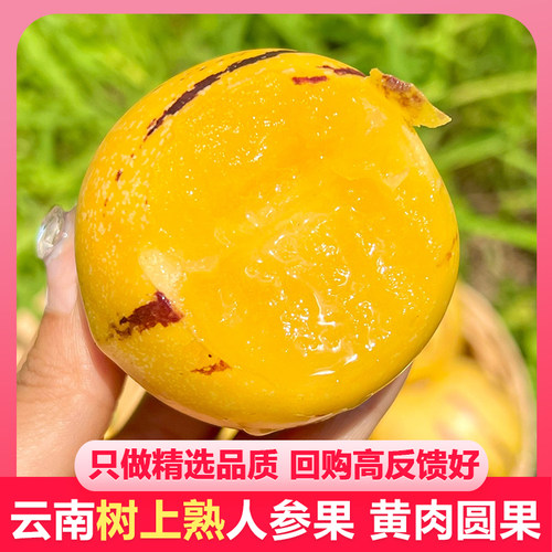 云南树上熟人参果精品大果5斤