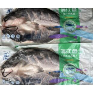 开背清江鱼商用鲜活冷冻烤鱼半成品食材纸包整箱腌制斑点叉尾鮰鱼