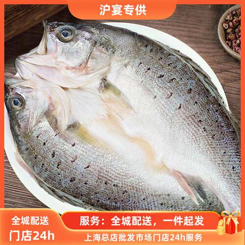 bq海鲈鱼开背新鲜冷冻深海七星鲈鱼鲜活海卢鱼水产烤鱼半成品商用