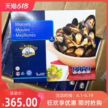 10整箱自助餐黑口商用冻贝 蓝口贝全壳454g烧烤贻贝智利盒煮熟冻