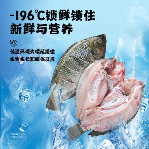 开背罗非鱼商用厂家新鲜冷冻腌制福寿鱼烤鱼半成品非洲鲫鱼免处理