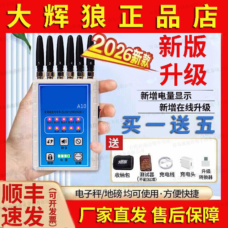 A10A20地磅保护重量电子秤电子秤/电子天平