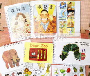 棕熊毛毛虫Dear Zoo我爸爸妈妈英文原版绘本拓展手工教具安静书