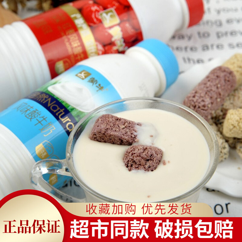 蒙牛红枣枸杞原味450g瓶装酸奶可选低温新鲜健康奶营养早餐奶