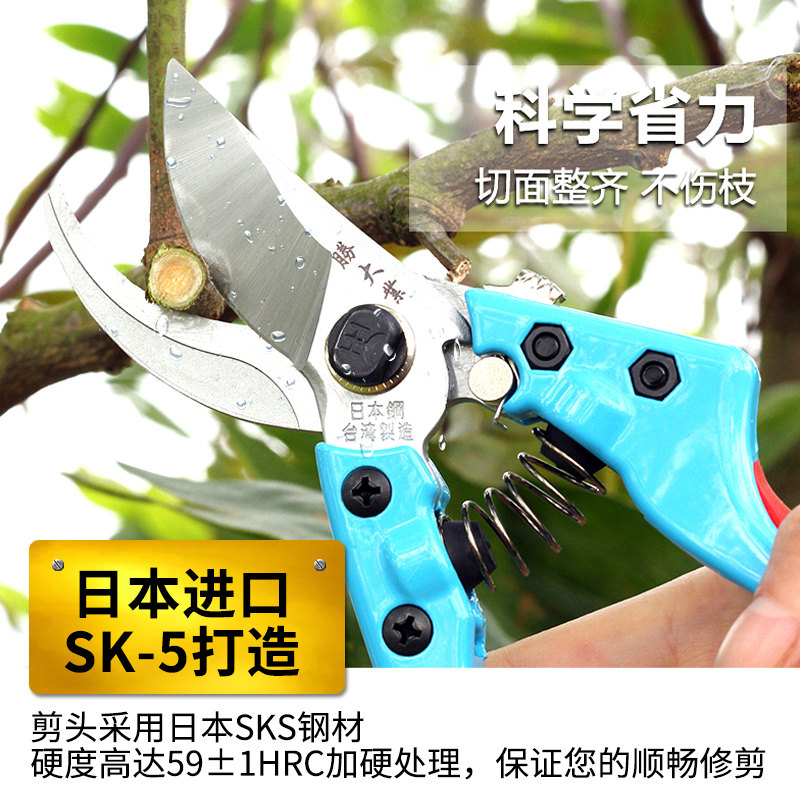 绿化家用修枝剪修花木园林工具园艺剪刀果树剪子粗枝剪花剪树枝剪_虎窝淘