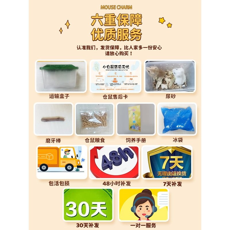 疯狂水草宠物仓鼠活物一线三线金丝熊老公公布丁一公一母包活运输