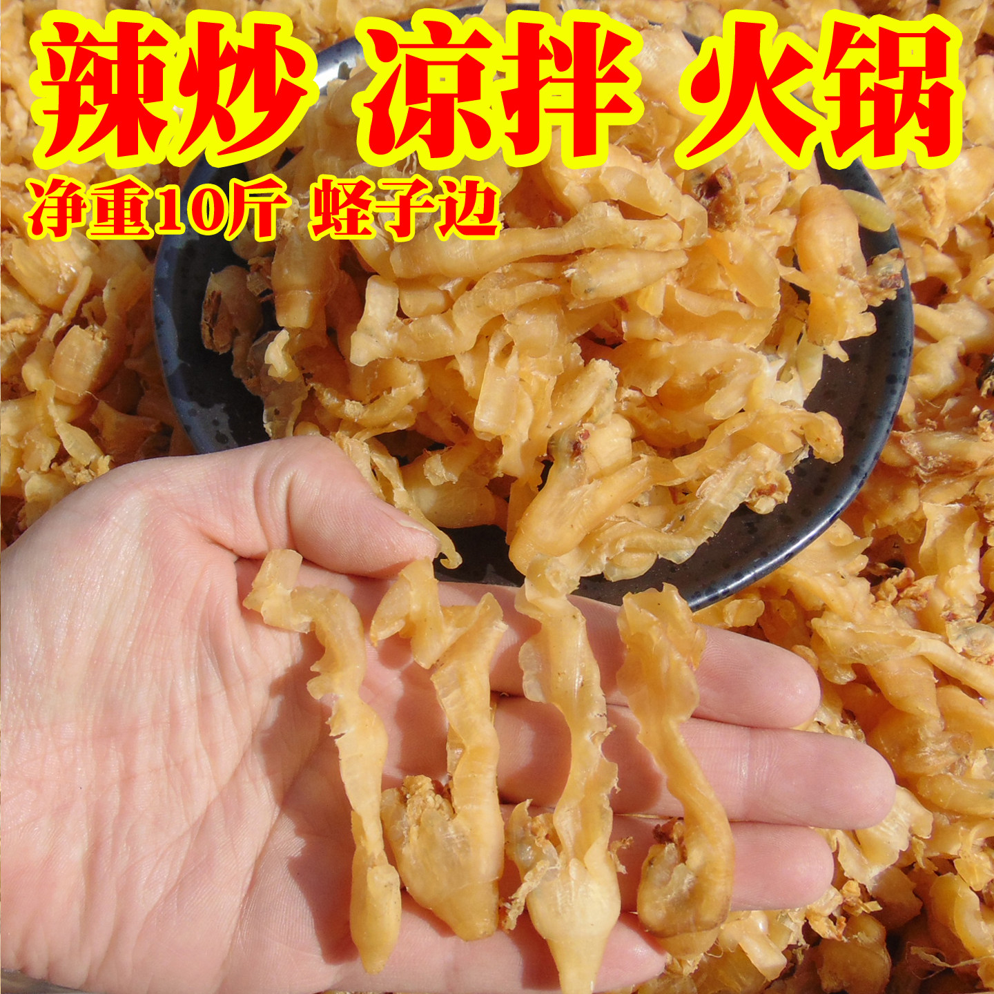 净重10斤蛏子边扇贝边鲍鱼边海鲜干货香辣火锅凉拌食材散装商用