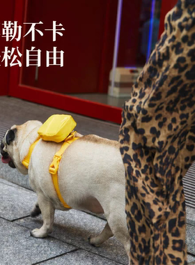 ISPETXSnoopy联名限定胸背