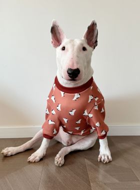 深红色狗狗加厚秋冬卫衣宠物大狗衣服牛头梗恶霸英斗拉布拉多服饰