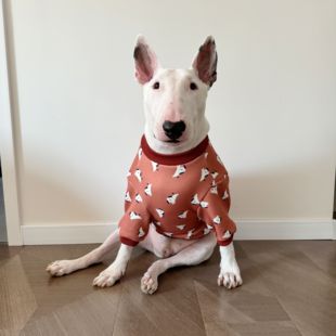 深红色狗狗加厚秋冬卫衣宠物大狗衣服牛头梗恶霸英斗拉布拉多服饰