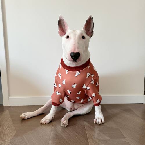 加厚卫衣中大型犬宠物狗衣服
