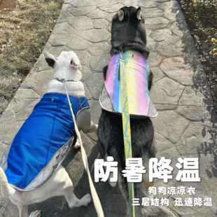 狗狗降溫彩虹色寵物涼涼衣 夏天法斗防暑馬甲背心 夏季 INS爆款