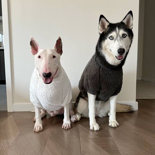泡泡绒软软糯糯小卫衣中大型犬