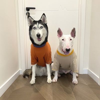 透气网眼太空棉套头T恤四季T恤