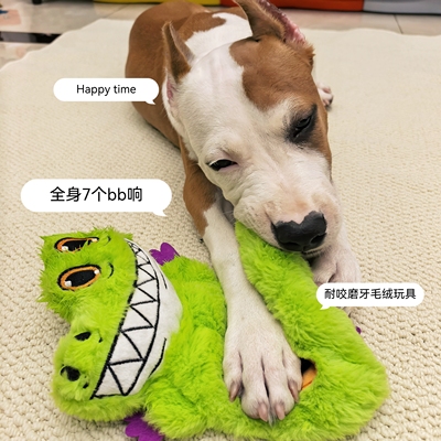 小鳄鱼宠物玩具发声啃咬不伤牙
