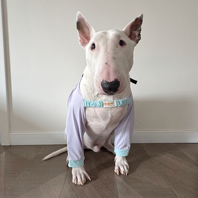 三色冰丝护肘袖套小中大型犬