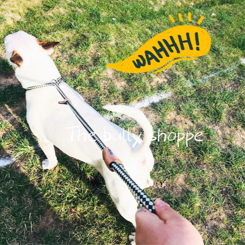 狗狗牵引绳大型犬狗链狗绳p绳