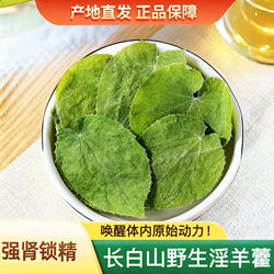 补强肾锁精泡水长白山淫羊藿中药材泡茶酒正品滢洋霍三枝九叶草