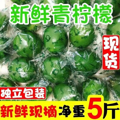 万州青柠檬一级新鲜安岳青柠檬薄皮柠檬奶茶店商用小青柠整箱包邮