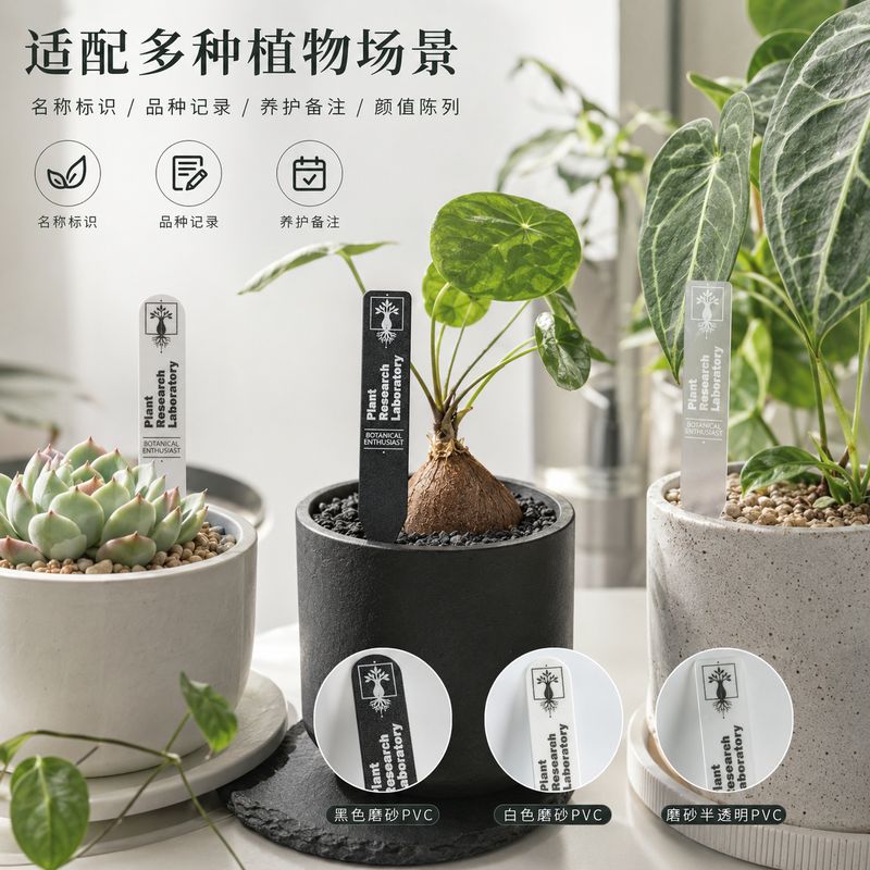 潮流个性植物标签可定制图片