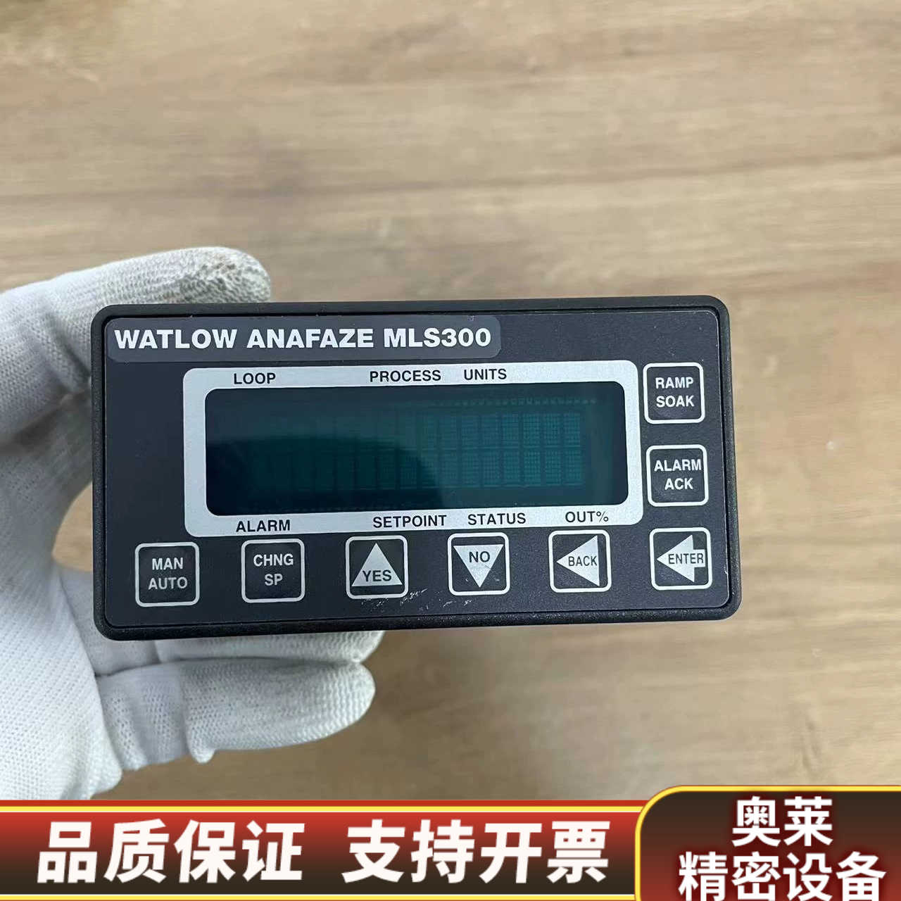 WATLOW ANAFAZE MLS300 Temperat.询价