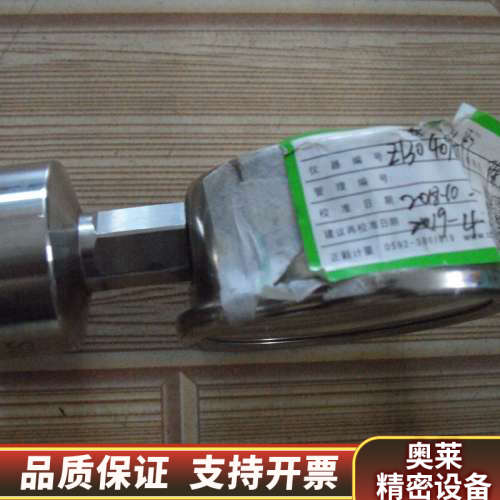 布莱迪BRIGHTY全锈钢卫生型隔膜耐震压力表PYTH-0.询价