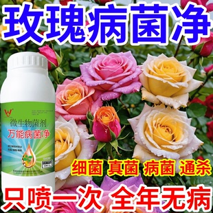 玫瑰病菌净果树蔬菜花卉稻瘟病病毒白粉病灰霉病锈病病害清一喷清