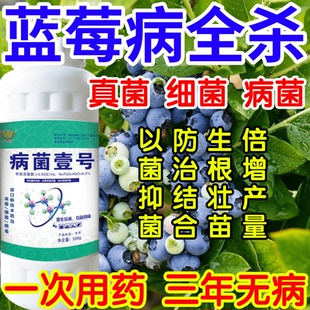 蓝莓病全杀以菌抑菌病菌壹号生根绿叶生物防治果树蔬菜花卉杀菌剂