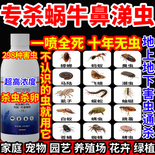 专杀蜗牛鼻涕虫杀蚊蟑螂宠物跳蚤蚂蚁药园艺花卉绿植下水道杀虫剂