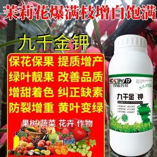 茉莉花爆满枝增白饱满面肥九千金催花素多花多果素九百金促花肥料