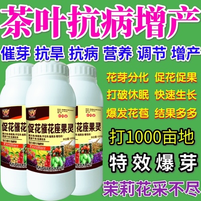 茶叶抗病增产促花催花座果灵营养液催产肥料蔬菜果树授粉防落素